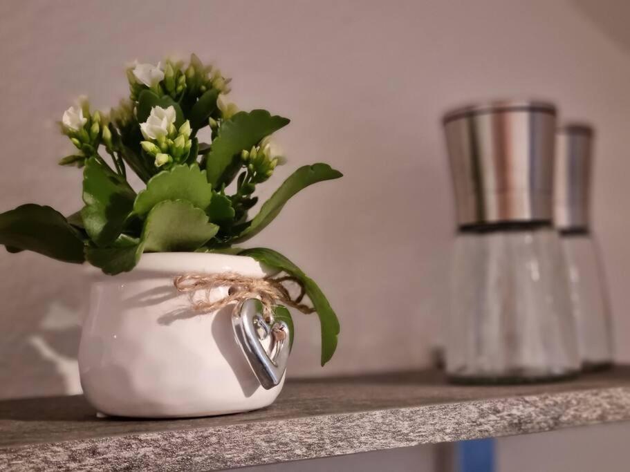 Ferienwohnung Seeblick 普富伦多夫 外观 照片